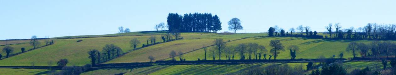 LESCURE-JAOUL